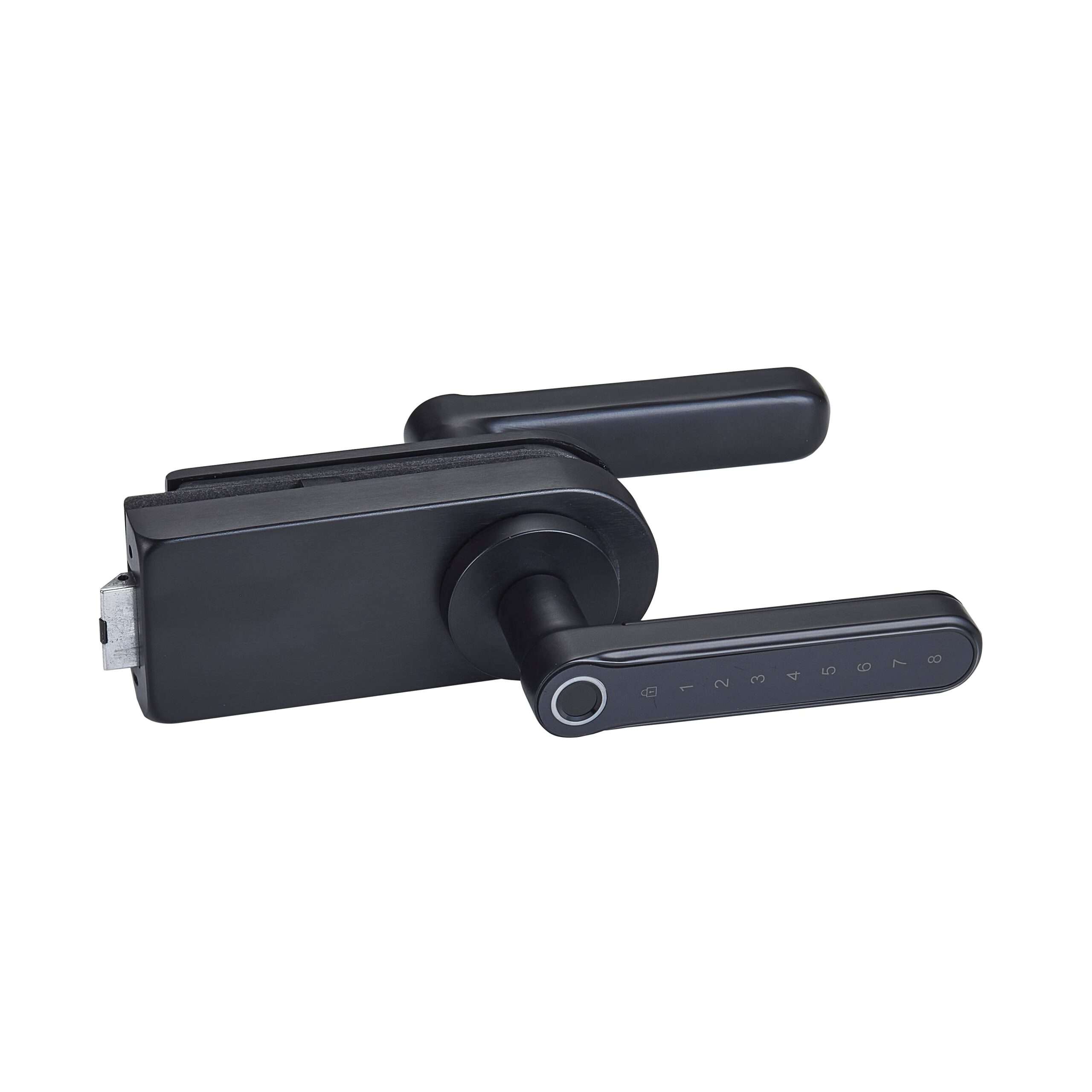 Frameless Door Smart Lock